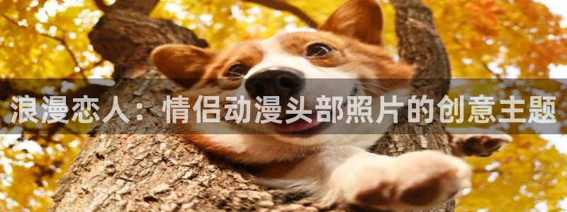 51动漫在线入口：浪漫恋人：情侣动漫头部照片的创意主题