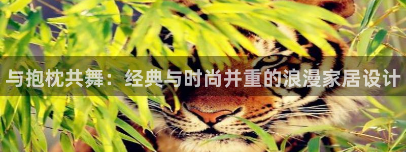 51动漫打扑克：与抱枕共舞：经典与时尚并重的浪漫家居设计